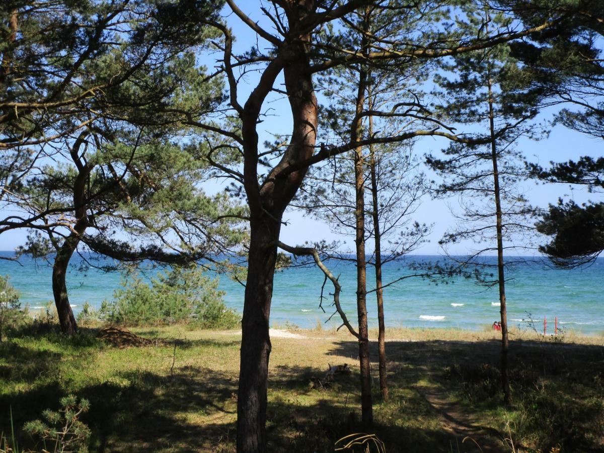 Strandapartment Meeresrauschen Prora Eg Ostseebad Binz